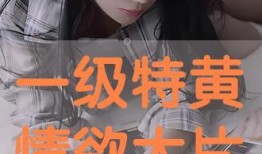 高清大片在线观看,畅享视觉盛宴之旅